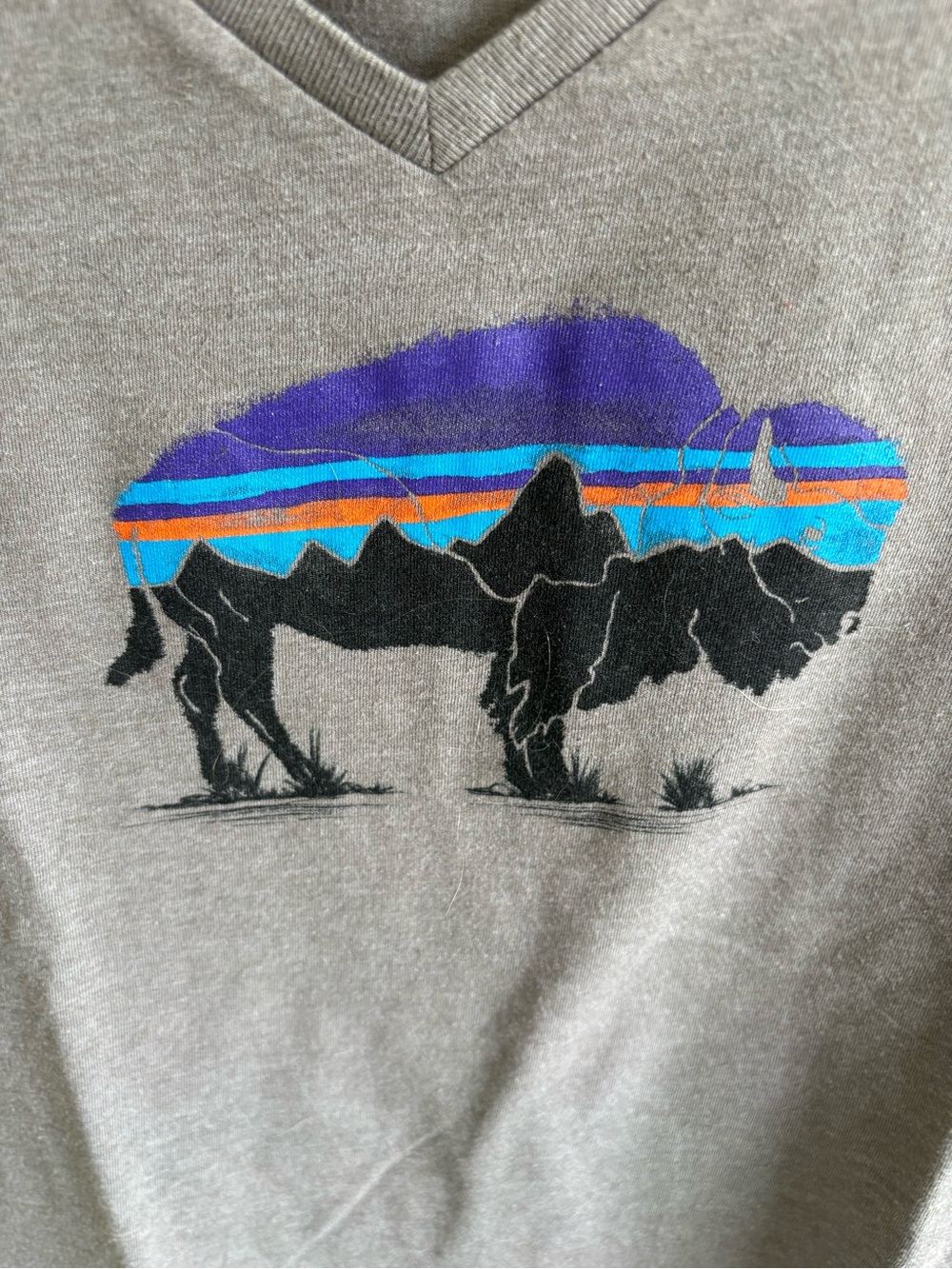 Patagonias Women’s Graphic V-Neck T-shirt - Picture 3 of 4